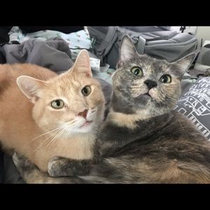 Meet your Posher, Molly